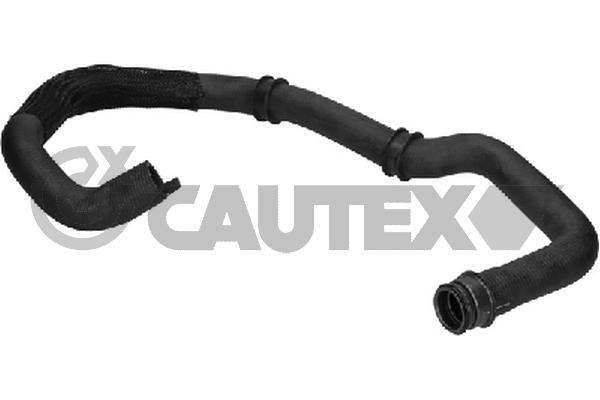 Патрубок радиатора CAUTEX 036443