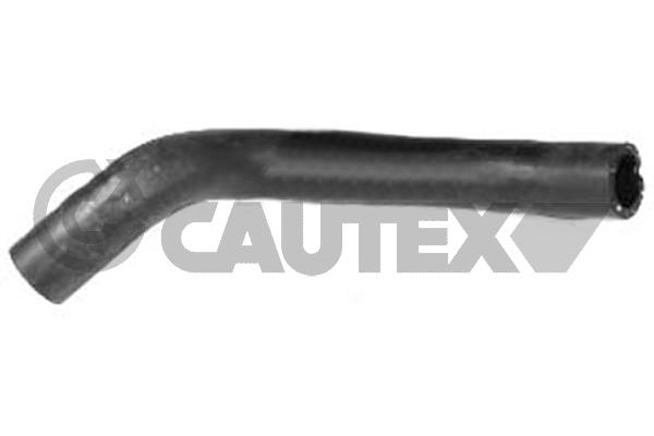 Патрубок радиатора ford transit 2.4d 00-06 CAUTEX 754410