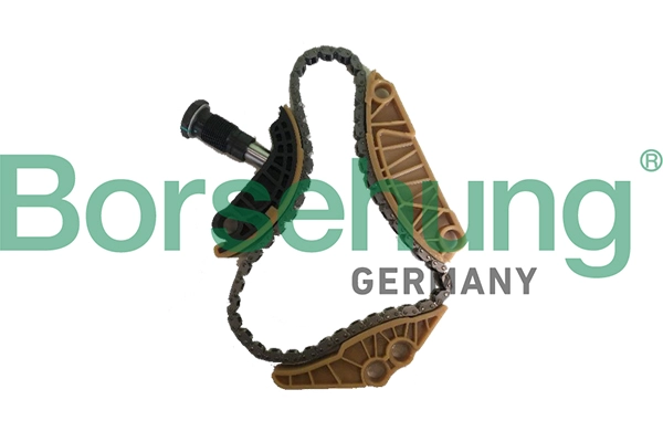 B18779 рем.к-кт цепи грм BORSEHUNG B18779