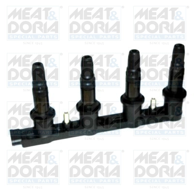 2998586 MEAT & DORIA 10758