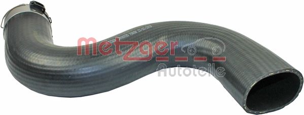  METZGER 2400235
