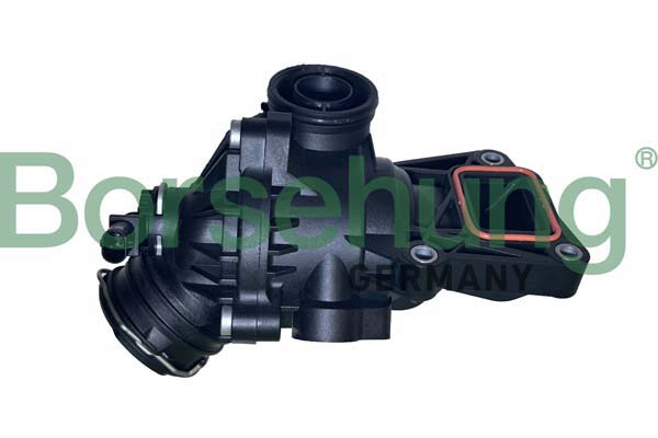 Термостат BORSEHUNG B10559
