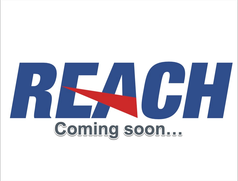 Радиатор масляный REACH 1.24.11006