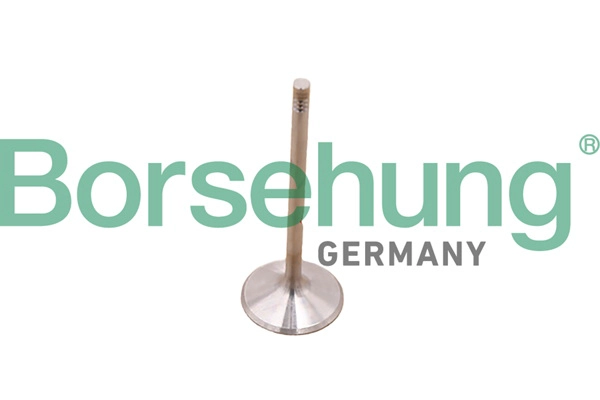 Клапан грм BORSEHUNG B10348