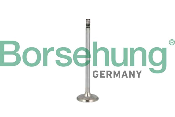 Клапан грм BORSEHUNG B10352