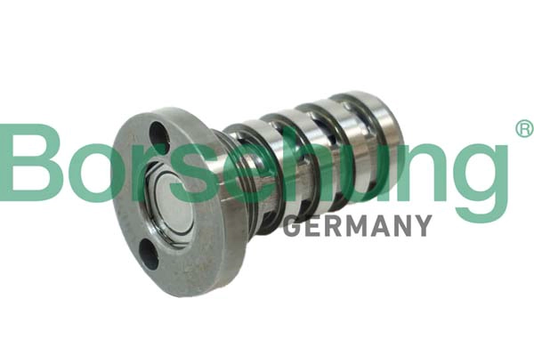 Регулятор фаз газораспределения BORSEHUNG B12123