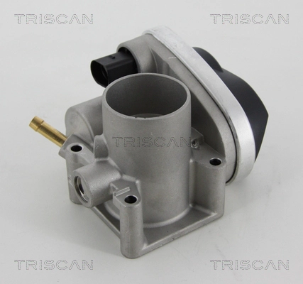Корпус дроссельной заслонки TRISCAN 8820 29001
