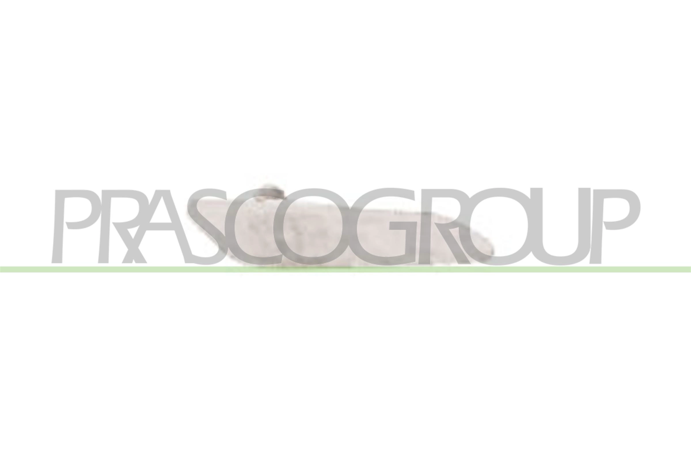 Фонарь указателя поворота PRASCO AA0804141