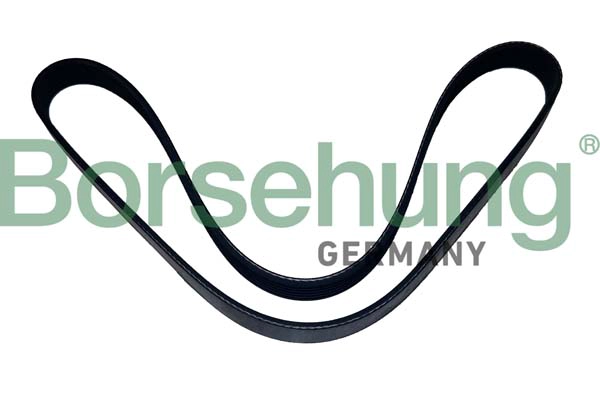 Поликлиновой ремень BORSEHUNG B12502