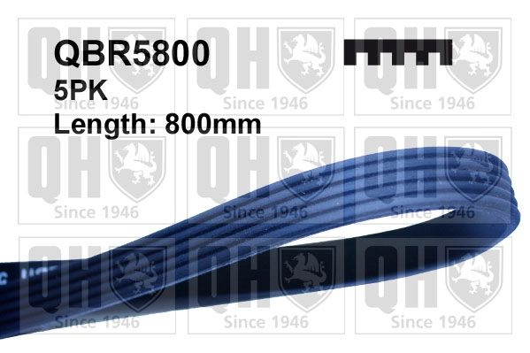 Поликлиновой ремень QUINTON HAZELL QBR5800