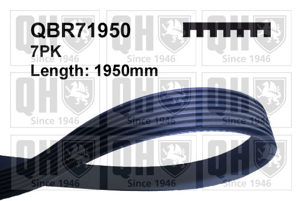Поликлиновой ремень QUINTON HAZELL QBR71950
