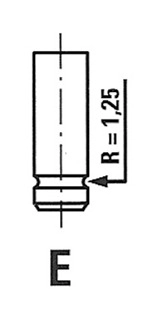 Впускной клапан FRECCIA R4912/SNT