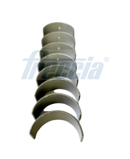 Комплект вкладышей FRECCIA CR19-101910