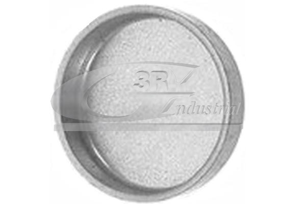 Пробка антифриза 3RG 84024