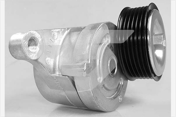 Натяжной ролик поликлиновой ремень HUTCHINSON T0496