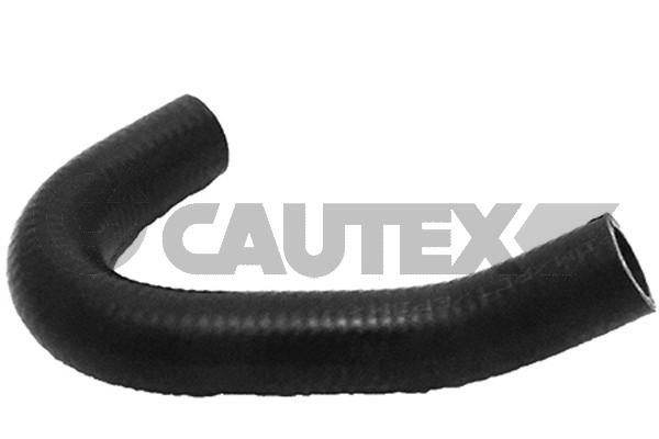 Шланг радиатора CAUTEX 011411
