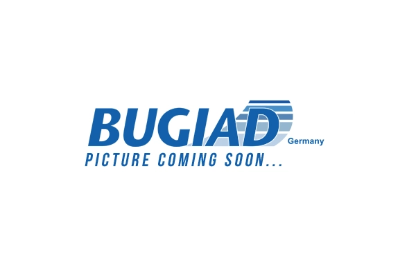 Управляющий дозатор компрессор BUGIAD BTP40012