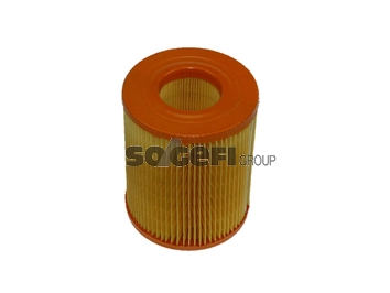 Воздушный фильтр FRAM CA8789