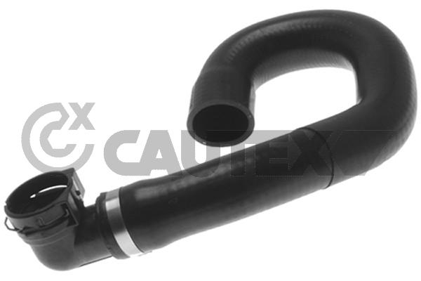 Шланг радиатора CAUTEX 036750