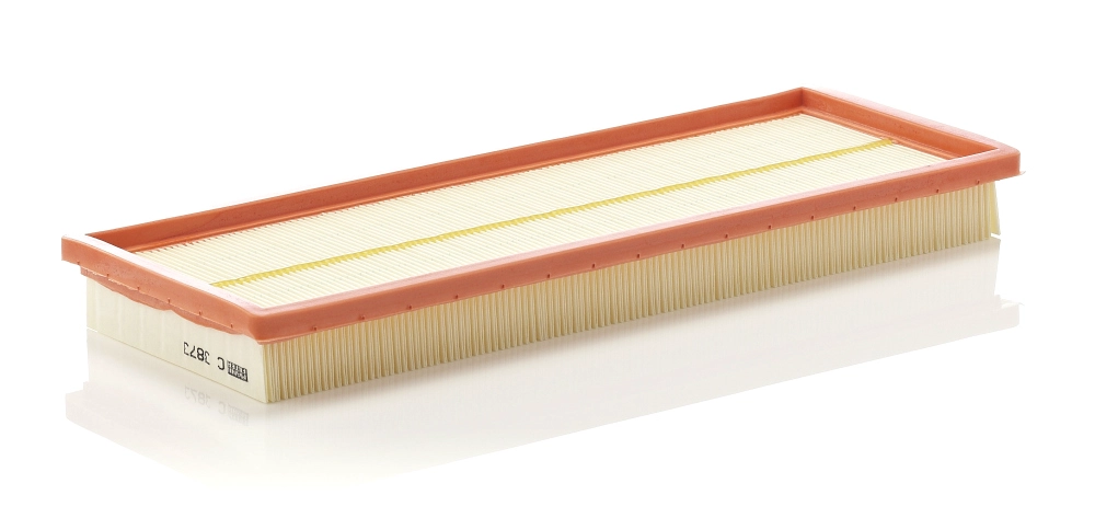 Воздушный фильтр MANN-FILTER C 3873