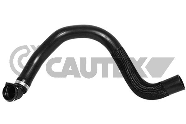 Шланг радиатора CAUTEX 036751