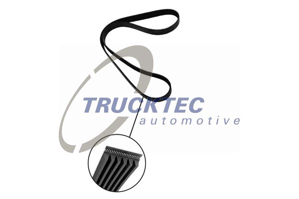 Поликлиновой ремень TRUCKTEC AUTOMOTIVE 03.19.062
