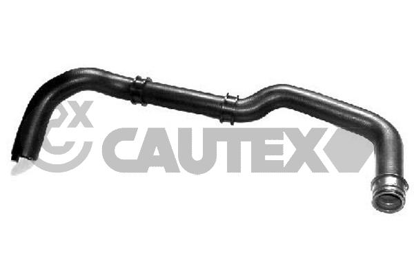Шланг радиатора CAUTEX 036351