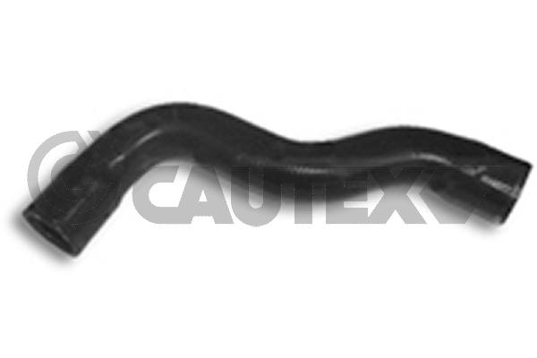 Шланг радиатора CAUTEX 036446