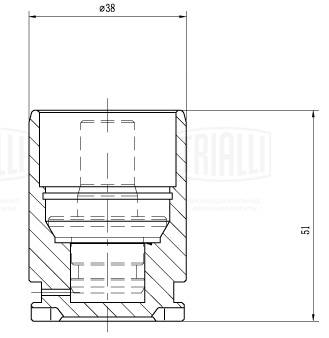 Поршень корпус скобы тормоза TRIALLI RCF012072