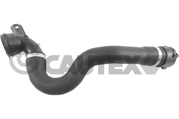 Шланг радиатора CAUTEX 765411