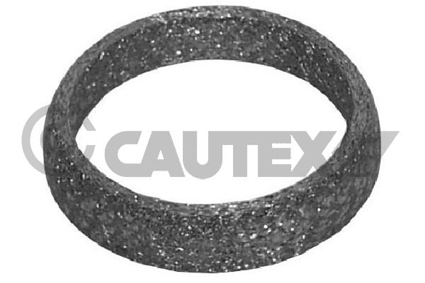 Уплотнительное кольцо труба выхлопного газа CAUTEX 954202