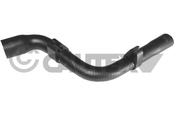 Шланг радиатора CAUTEX 036496