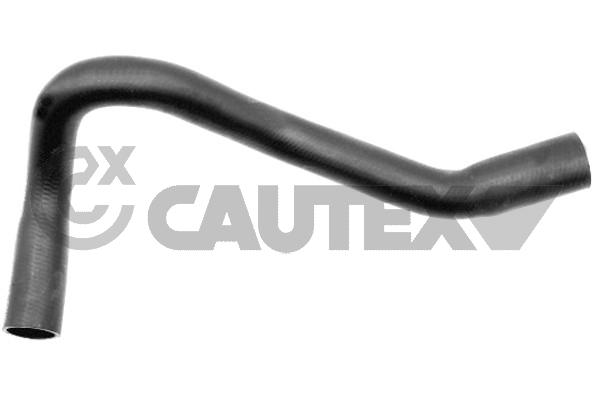 Шланг радиатора CAUTEX 086408