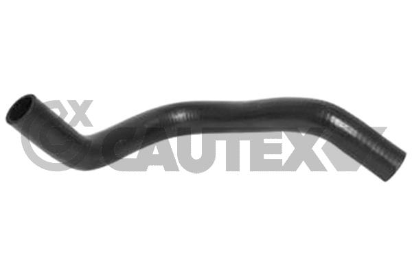 Шланг радиатора CAUTEX 086019