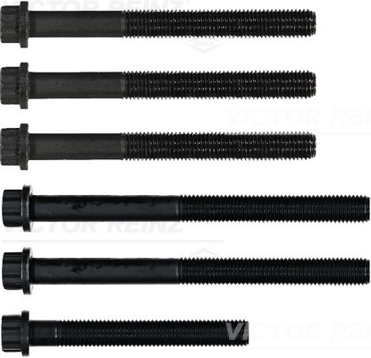 Комплект болтов головки цилидра VICTOR REINZ 14-32060-01