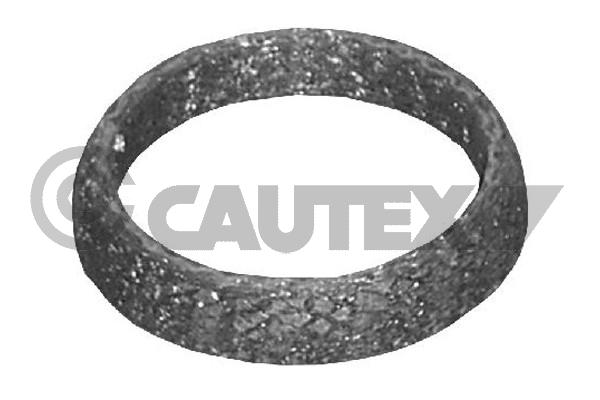 Уплотнительное кольцо труба выхлопного газа CAUTEX 954200