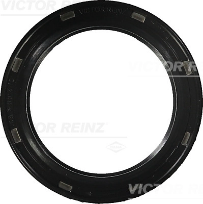 Уплотняющее кольцо коленчатый вал VICTOR REINZ 81-38031-00