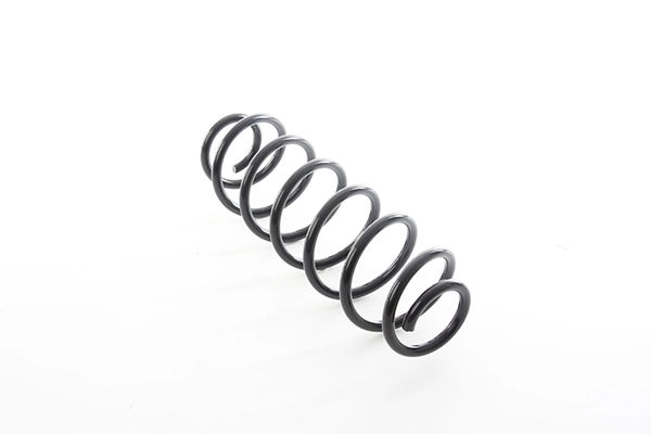 Пружина задней подвески audi a-3seat leontoledo-iiskoda rapidvw boragolf-ivnew beettle 97 BSG BSG 90-305-006