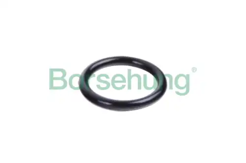 B10632 уплотнительное кольцо BORSEHUNG B10632