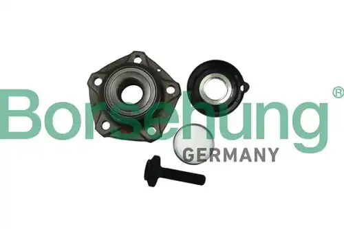 B11288 к-кт подшипника ступ. зад. BORSEHUNG B11288