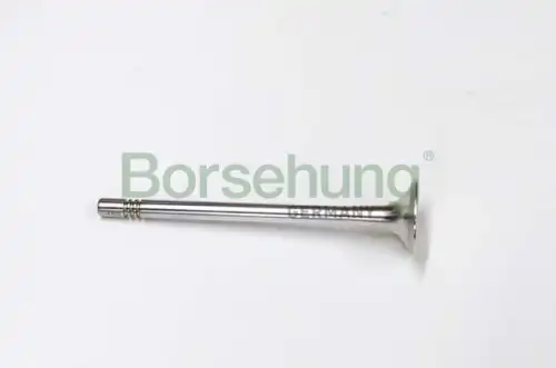 Клапан грм BORSEHUNG B19003