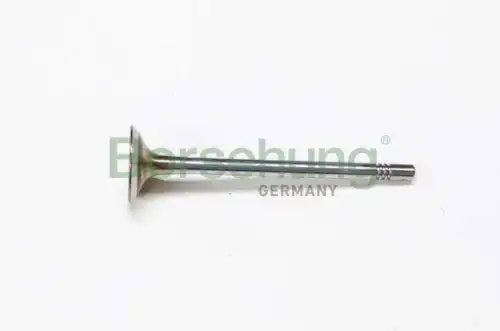 Клапан грм BORSEHUNG B19020