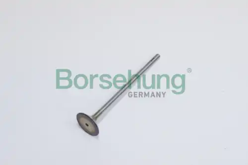 Клапан грм BORSEHUNG B19022