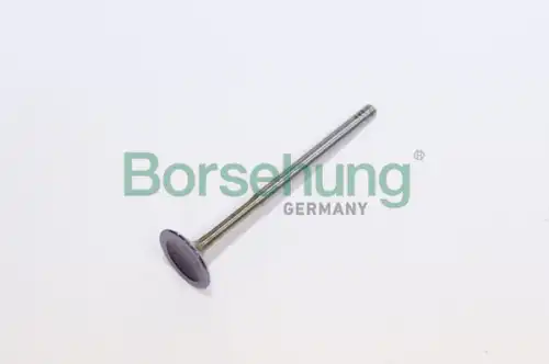 Клапан грм BORSEHUNG B19025