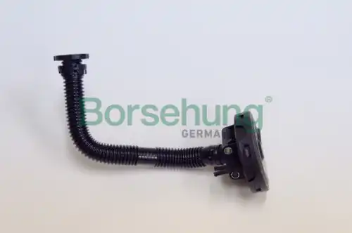 B19055 клапан системы вентиляции картера BORSEHUNG B19055