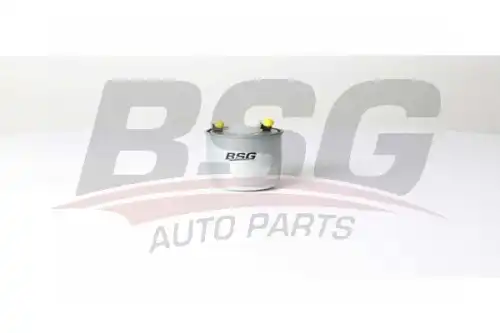 Топливный фильтр bsg BSG BSG 60-130-011