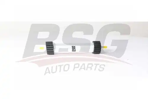Топливный фильтр bsg BSG BSG 90-130-030