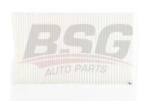 Салонный фильтр BSG BSG 90-145-006