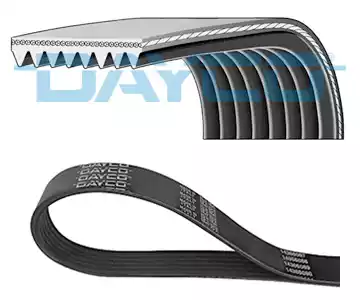 Поликлиновой ремень DAYCO 8PK800HD