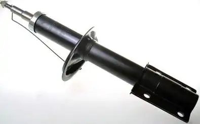 Амортизаторы DENCKERMANN DSB016G